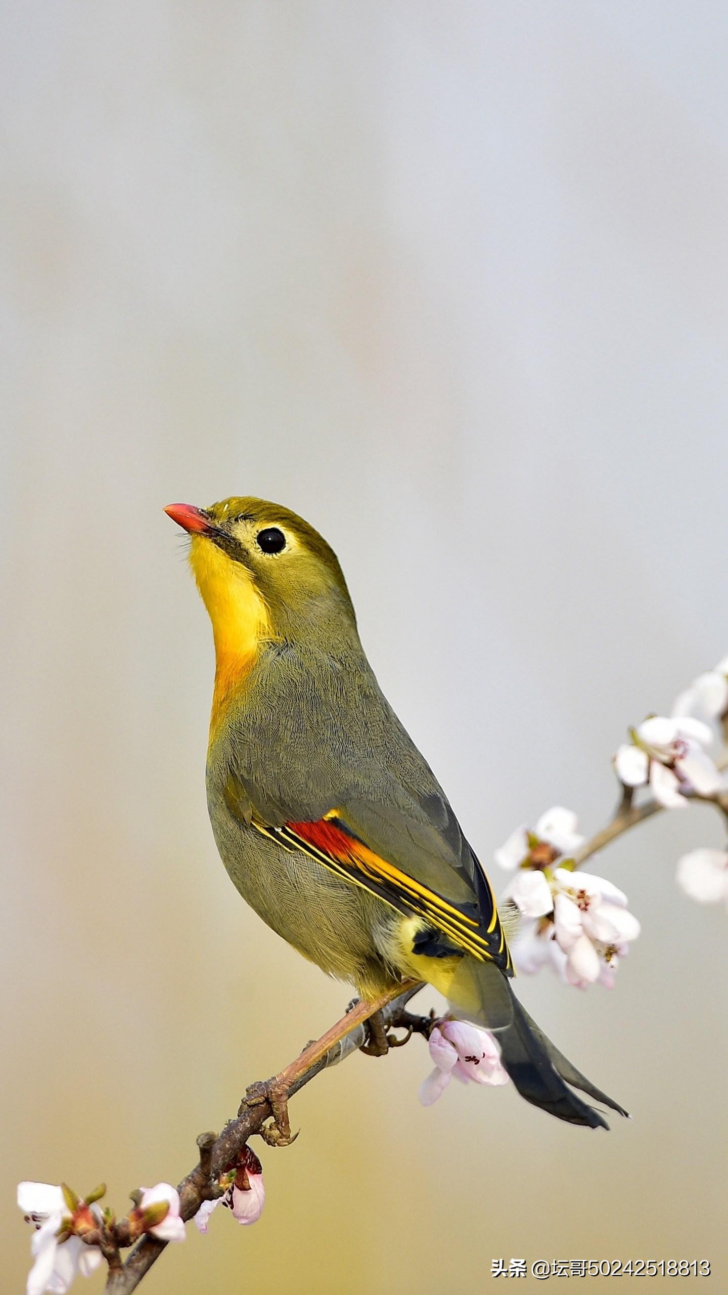 控制好情绪杜绝生气,生气的时候怎么能理智