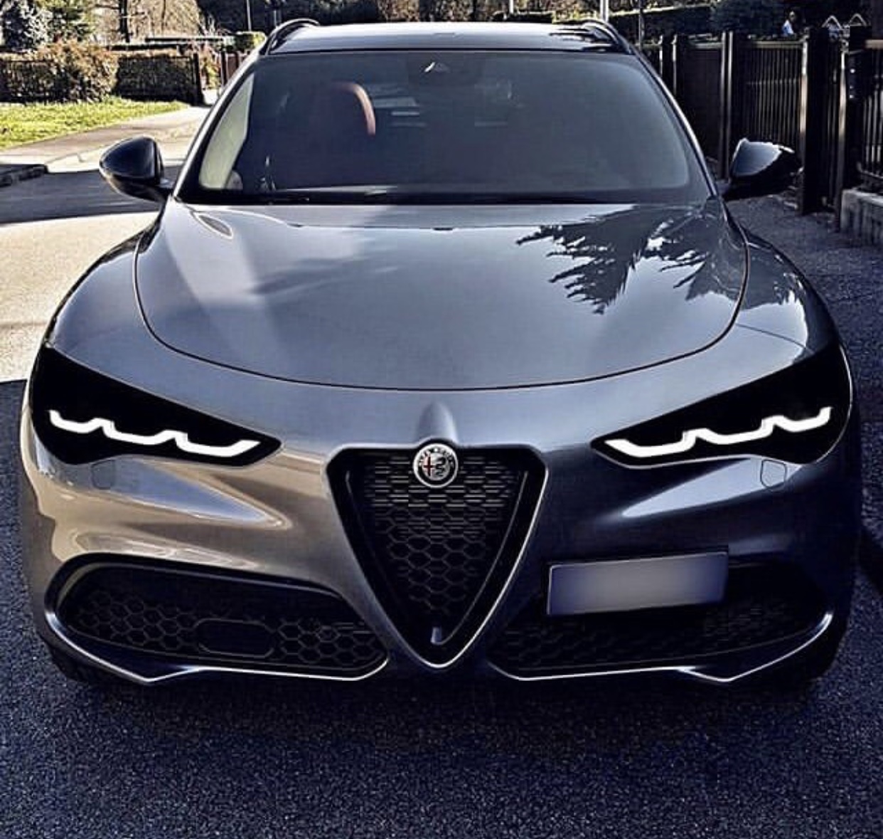 阿尔法罗密欧suv四叶草,地表最快车阿尔法罗密欧