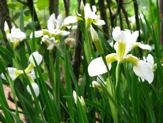 公认最好用的10大眼膜正品,全球公认的10大眼膜