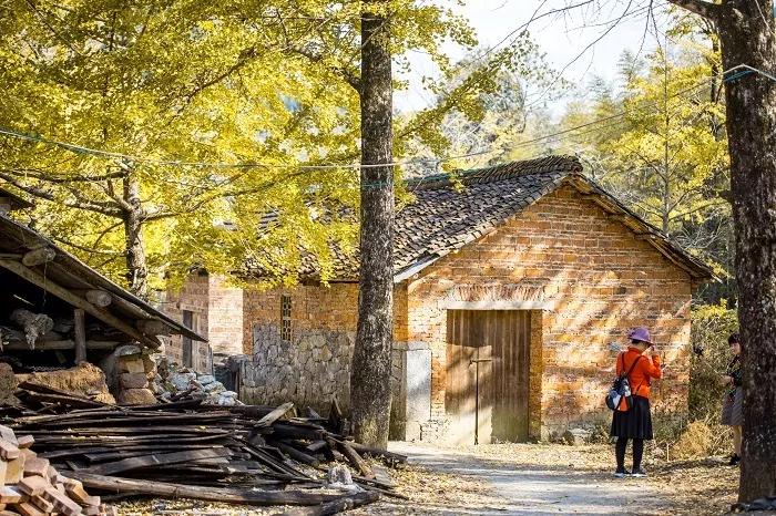 冠道奢华与实用的至臻suv之选,中型suv横评冠道