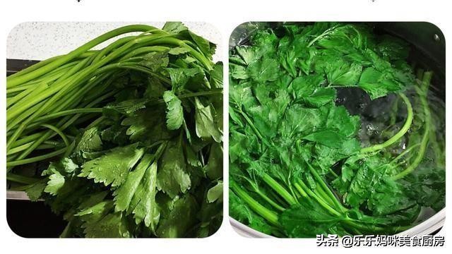 浆水菜怎么调才好吃,浆水菜怎么制作才好吃