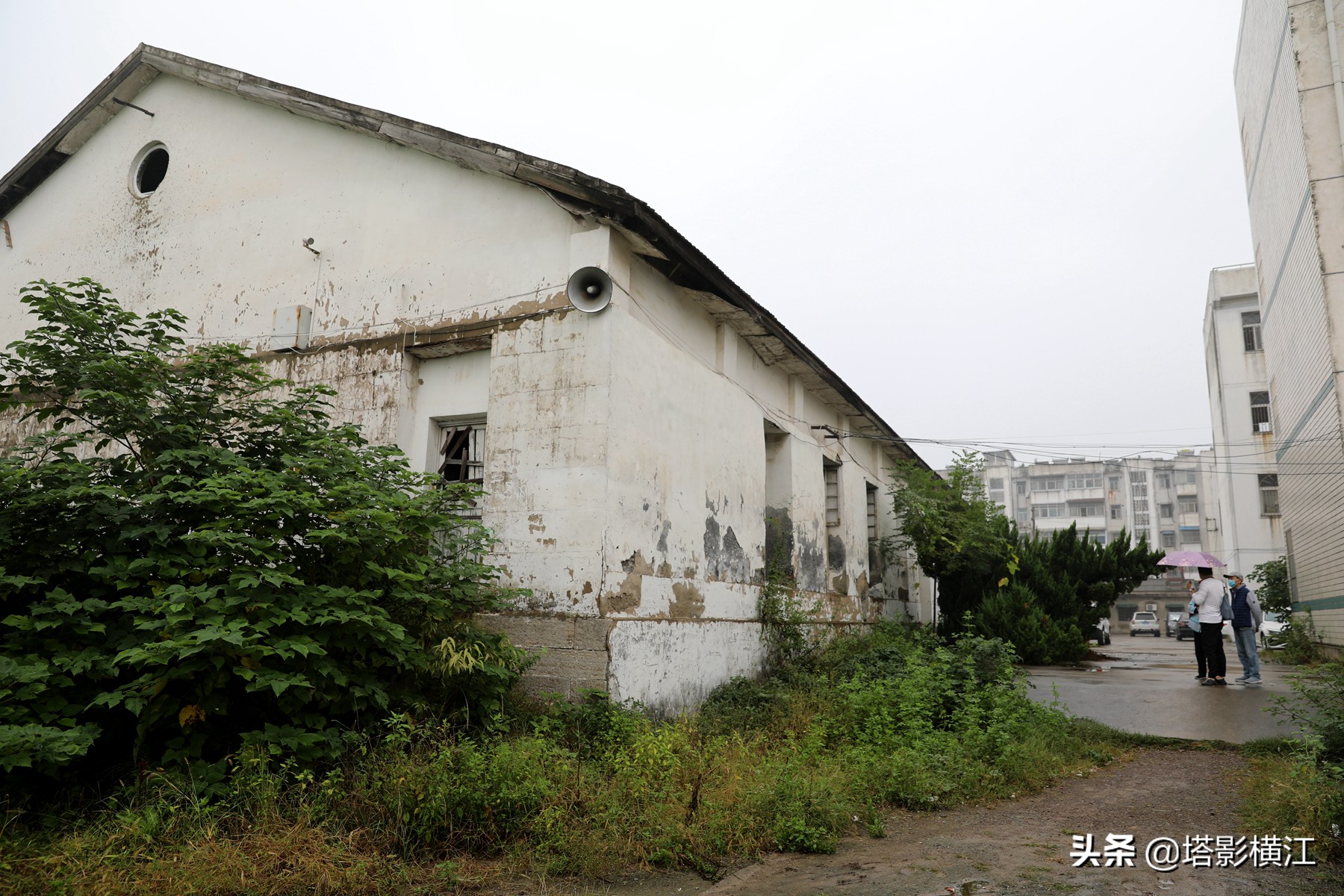 月是故乡明向我们展现了什么,月是故乡明游子思完整版