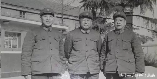 俏也不争春只把春来报,俏也不争春原诗