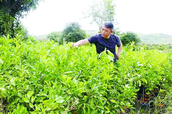 致敬脱贫英雄的视频,致敬扶贫英雄