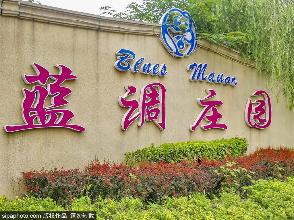 薰衣草花海真是太美了,北京薰衣草花海打卡网红地