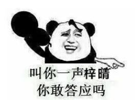 2023年新生儿爆款名字出炉,2019年新生儿爆火名字排行榜