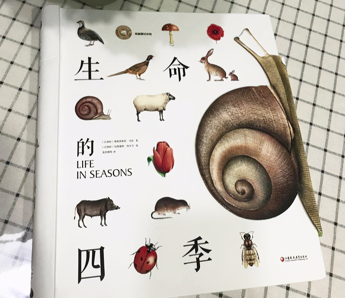 给孩子谈生死的绘本,生命教育怎么教100本绘本告诉你