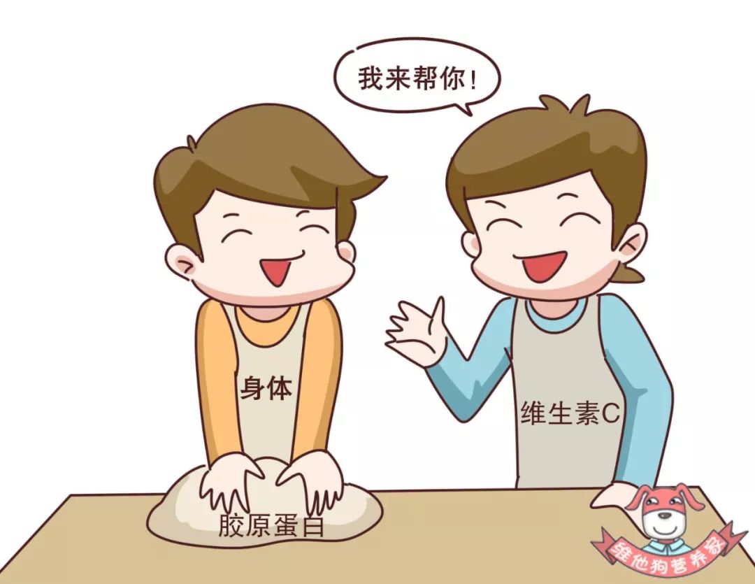 不做医美不打针，如何拥有紧致光滑的肌肤？原来这些食物就可以