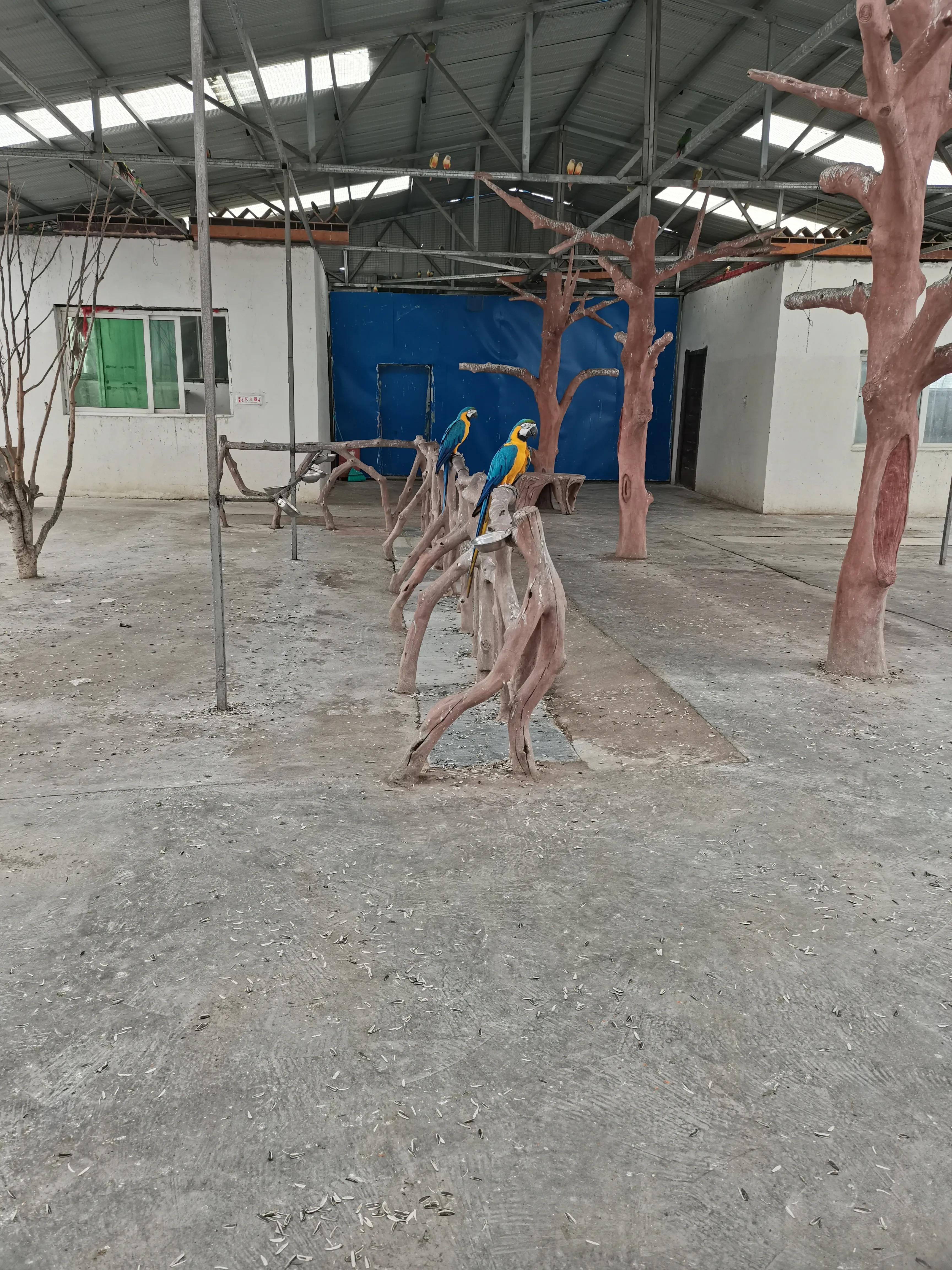 济南野生动物园和宿州野生动物园,宿州野生动物园到宿州皇藏峪