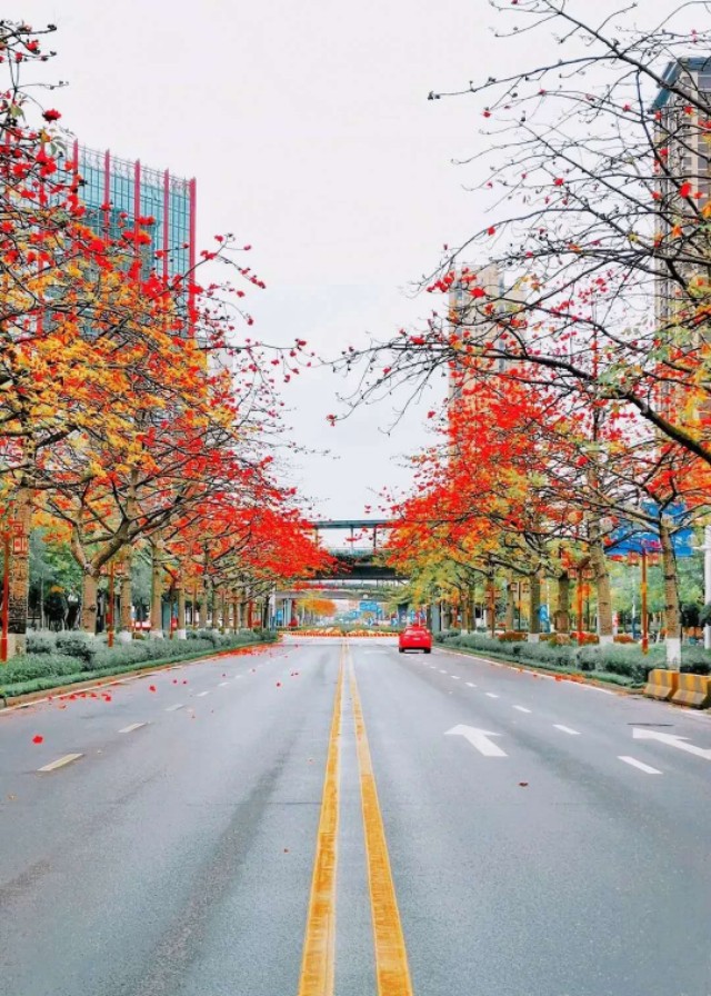 独自一人怎么生活,独自拼音