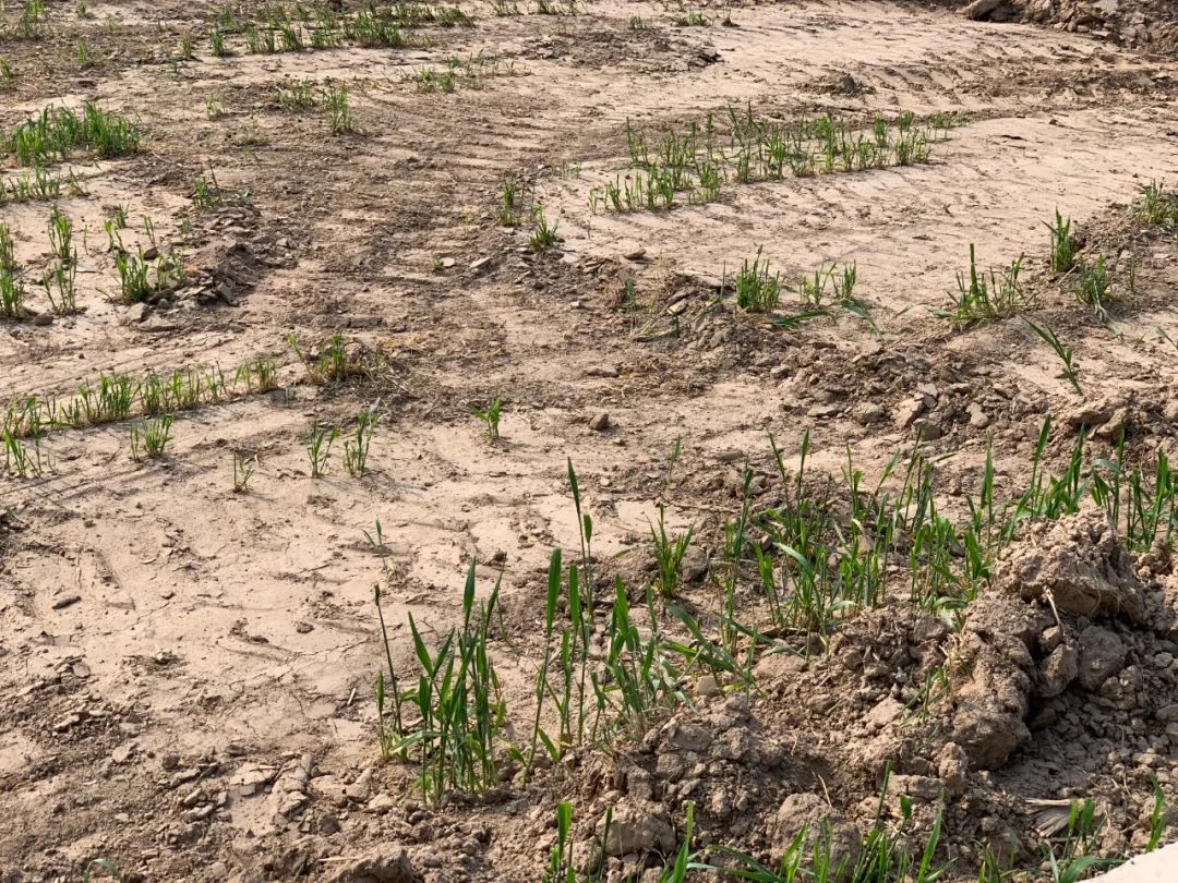 盗采沙子100万如何处理,盗采多少沙子违法