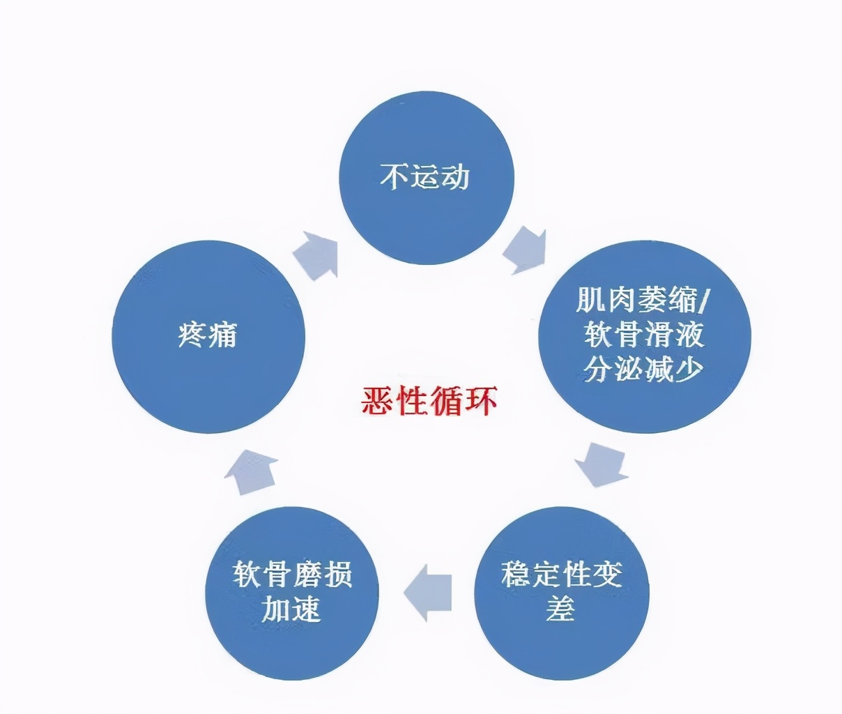 膝关节主要的运动,膝关节护膝动作大全
