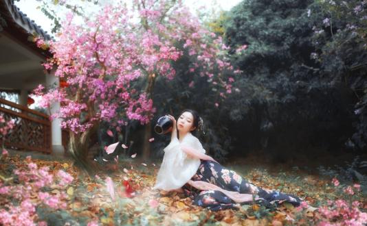 李白最好的醉酒诗十首,唐才子经典诗句