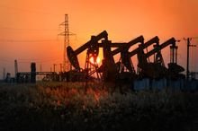 东北降龙真实故事,中国降龙事件是真的吗