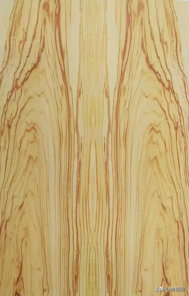 装饰材料木皮有哪些,装饰木皮有哪几种