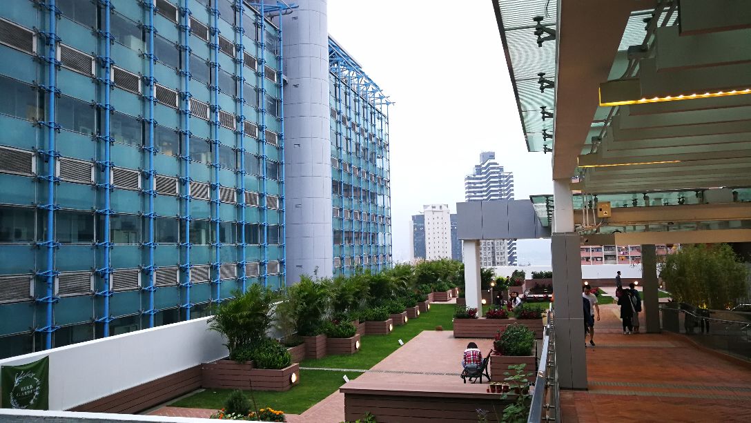 港大语言学本科专业如何,港大应用语言学就读体验