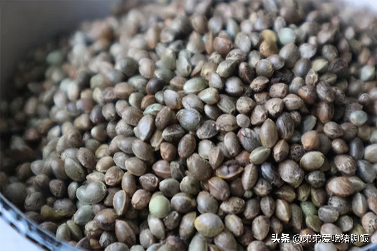 广西长寿之乡巴马特产火麻糊,特产早知道巴马火麻