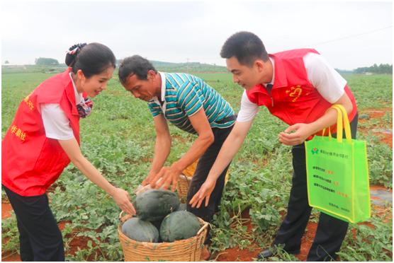 广西农信社各县排名,2018年广西农信社