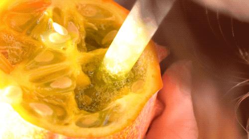 各种新奇水果,20种你没见过的水果