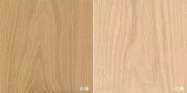 红橡白橡如何从构造上区分,买家具怎么辨别是不是实木