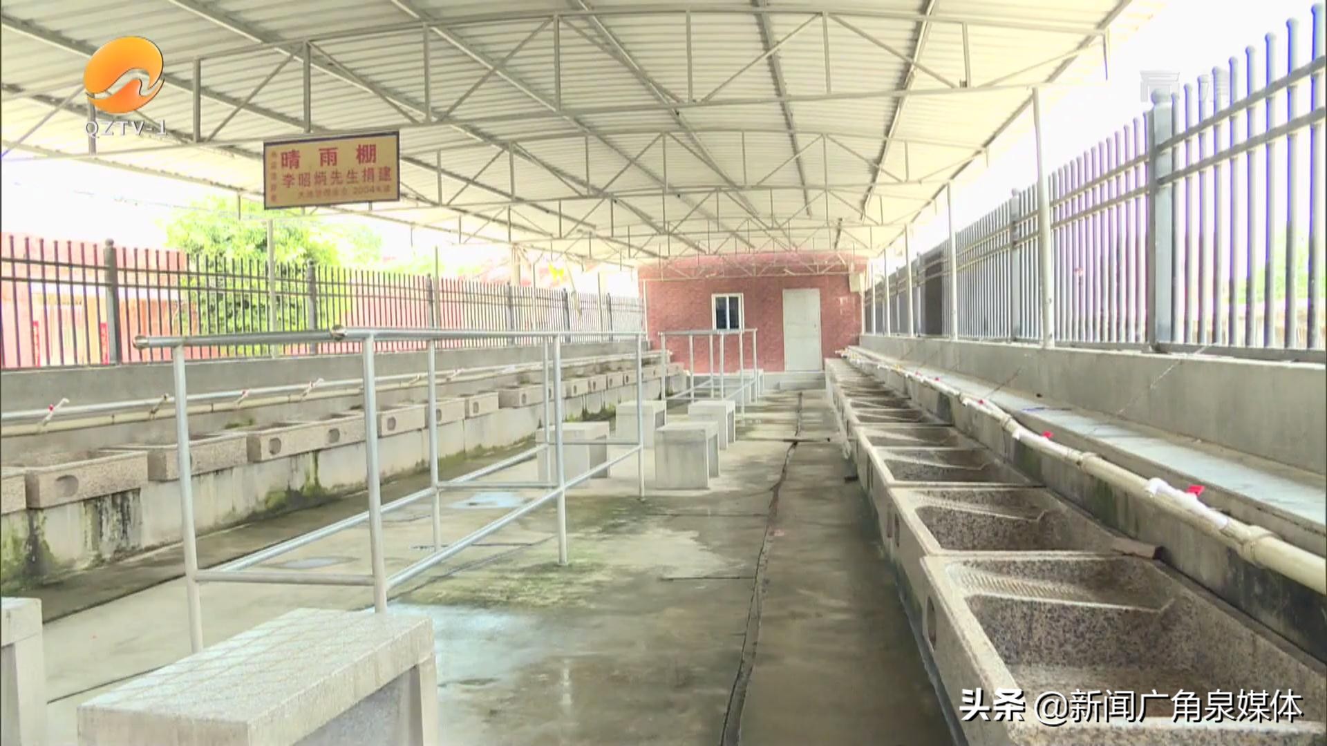 泉州明湖荷香飘泉城,泉州南国风光