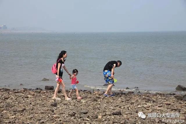 这里是锦州栏目,这里是锦州英语