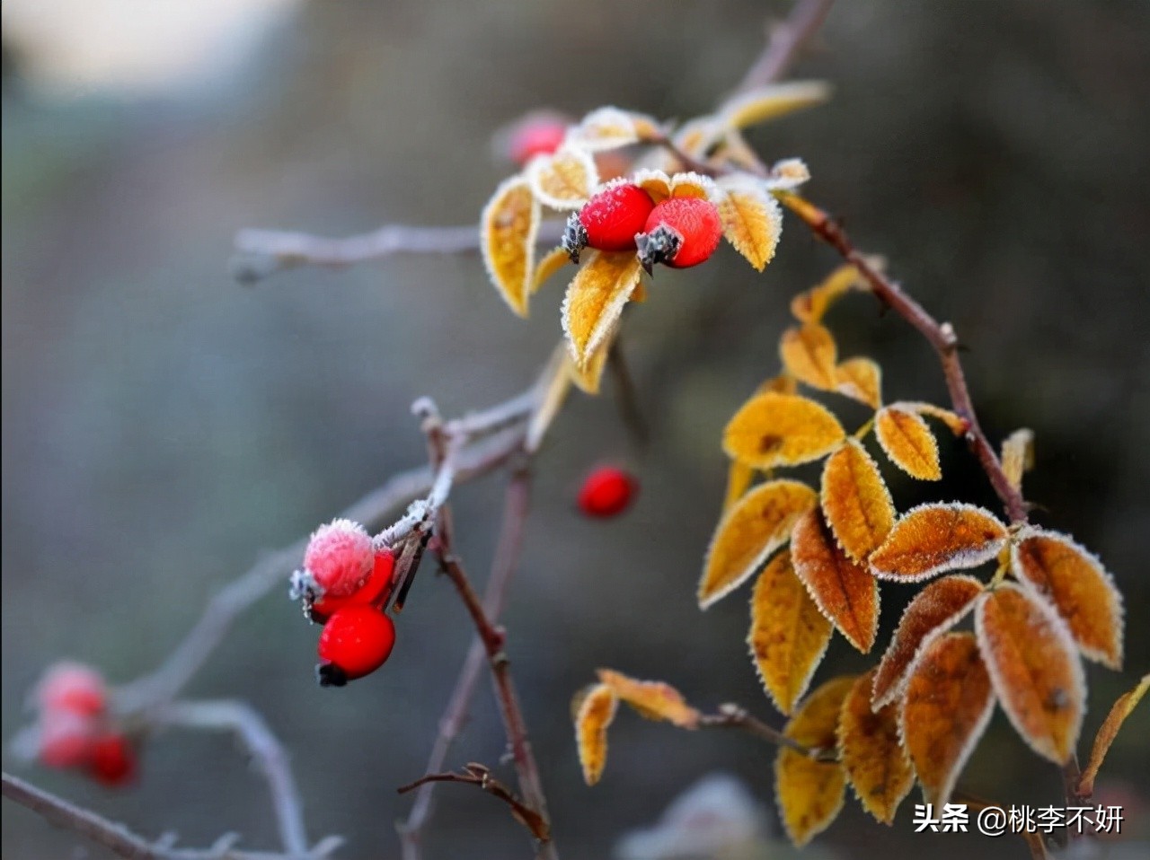 愿余生与你岁月静好安暖相伴,你若安然我便安好