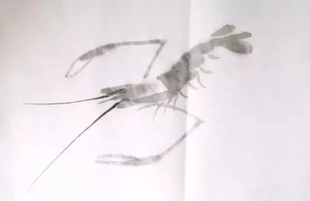 怎样画虾教学视频,铅笔画虾的步骤和方法