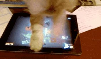 4-12岁亲子互动游戏两极反转,亲子游戏大全3-6岁亲子游戏