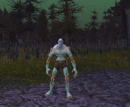 魔兽世界牧师最佳种族,魔兽世界八大职业