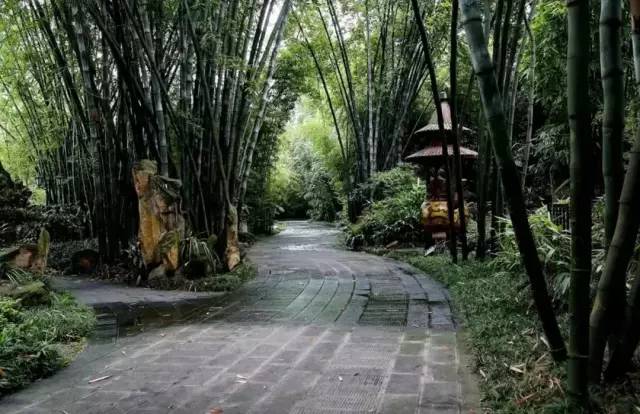 看看纽约中央公园的美景,真实的纽约中央公园