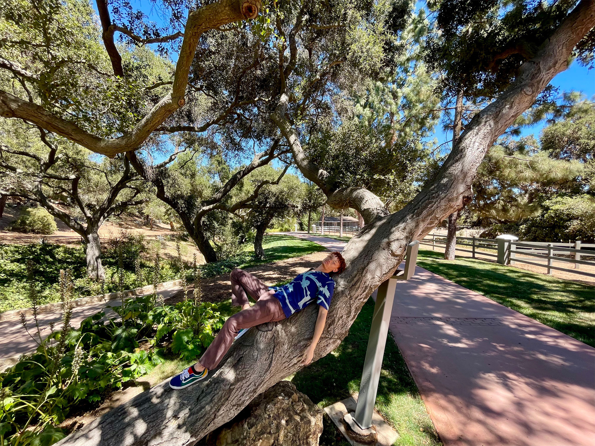 12g512的5g手机哪款最便宜,苹果12迷你手机5g有几款