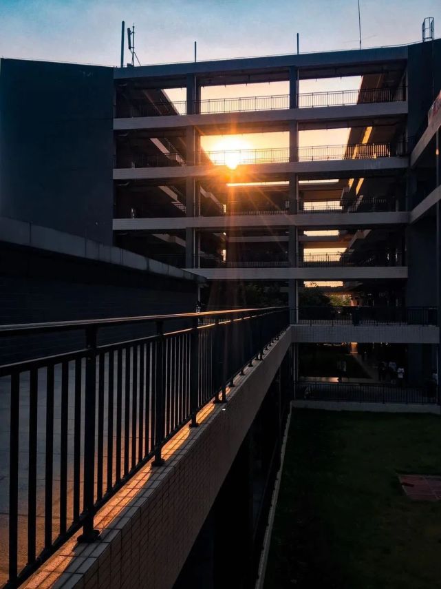 广东岭南职业技术学院2024分数,广东岭南职业技术学院志愿填报