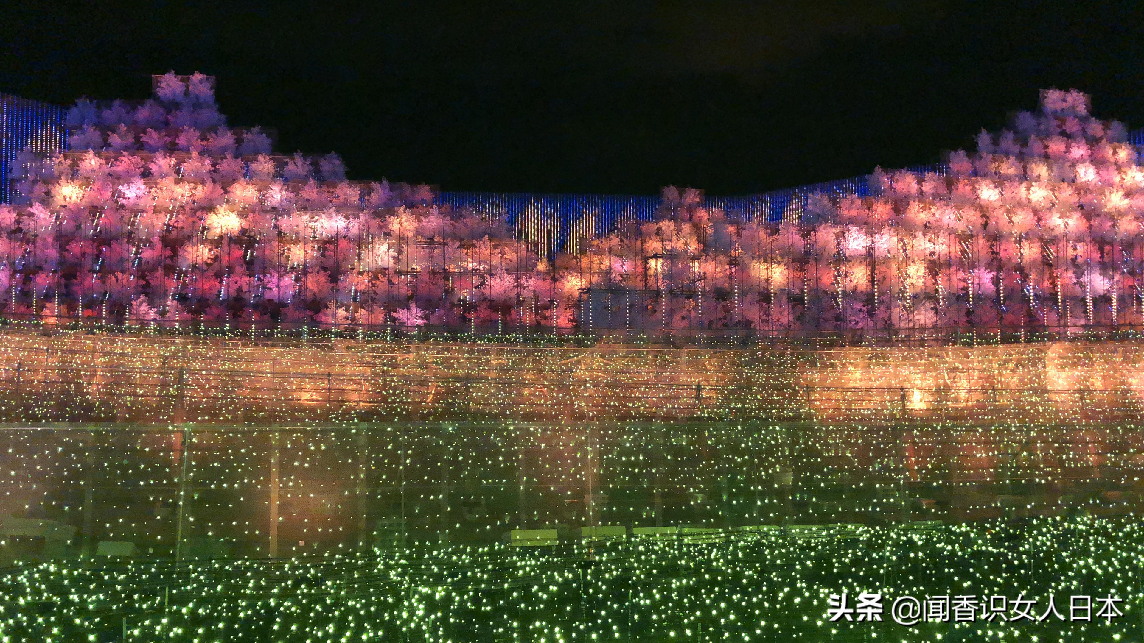 日本最美夜景,日本最美水上光影隧道