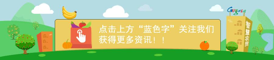 生活有什么东西不能吃,感冒不能吃的食物是真的吗
