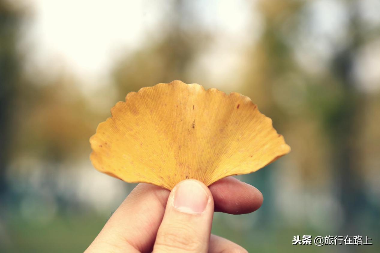 今天你微笑了吗？远洋·琨御传递快乐，从此丢掉烦恼