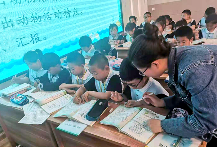 礼赞百年逐梦远方——双塔区凌河小学创建特色品牌学校纪实