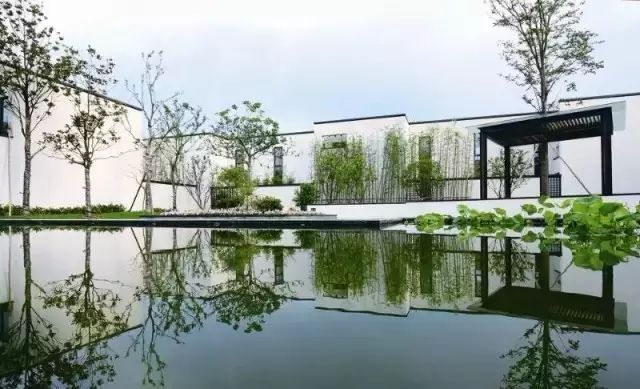 中国人的院子,中国人的院子深度解析