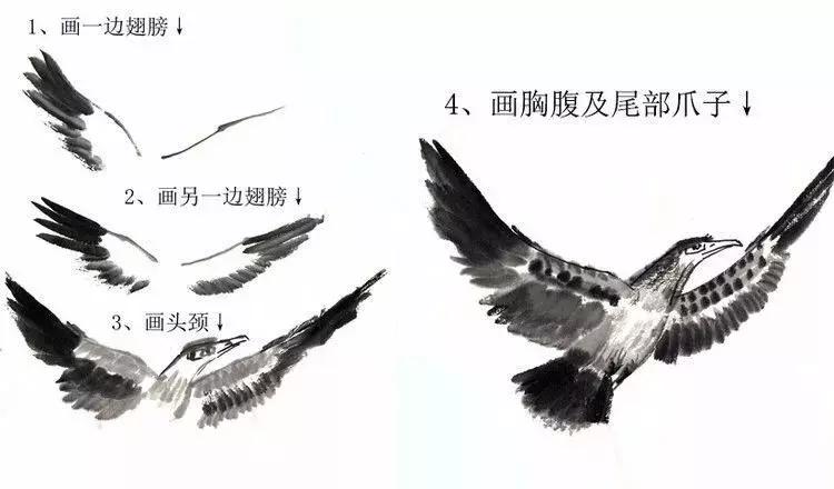 工笔画花鸟入门教程步骤图,国画教学工笔花鸟燕子的重彩画法