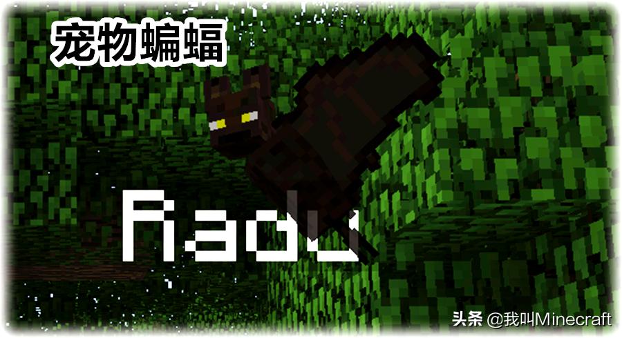 我的世界里关于蝙蝠的冷知识 (我的世界蝙蝠冷知识)