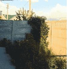 哈士奇拆家的能力到底有多强,二哈拆家和哈士奇拆家谁更厉害