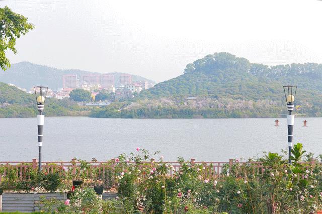 深圳夜晚小众打卡地景点,深圳十个小众打卡地