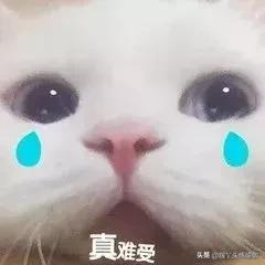 如何做好盆腔的产后修复？市场套路太深，别被坑骗啦