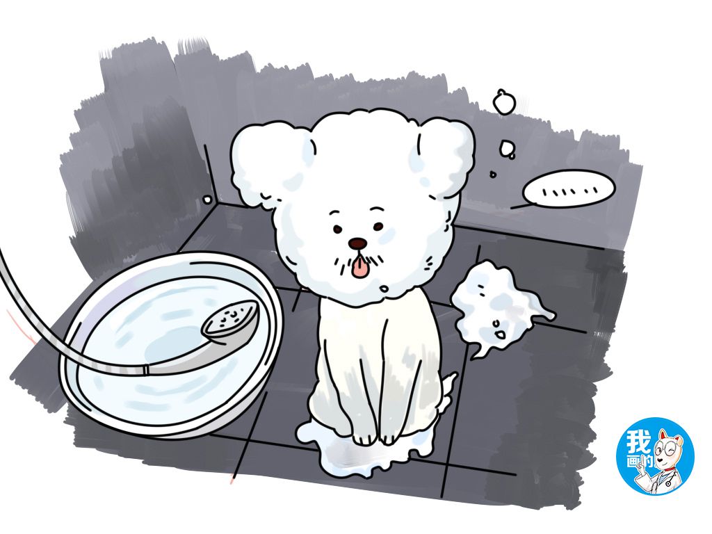 狗狗身上有螨虫用圣露薇可以吗,狗狗身上有螨虫和真菌区别图