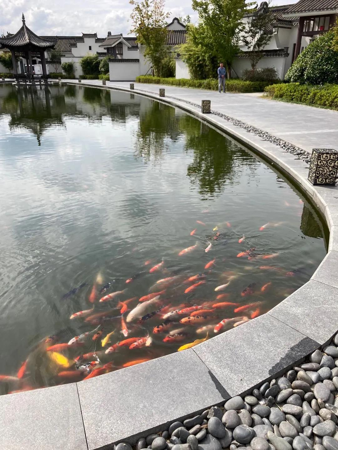 舒适睡眠的酒店,黄山悦榕庄最美的酒店