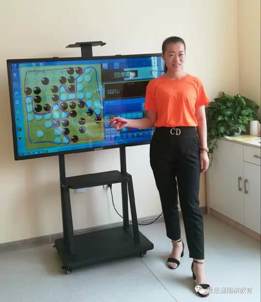 围棋职业老师,围棋职业规划