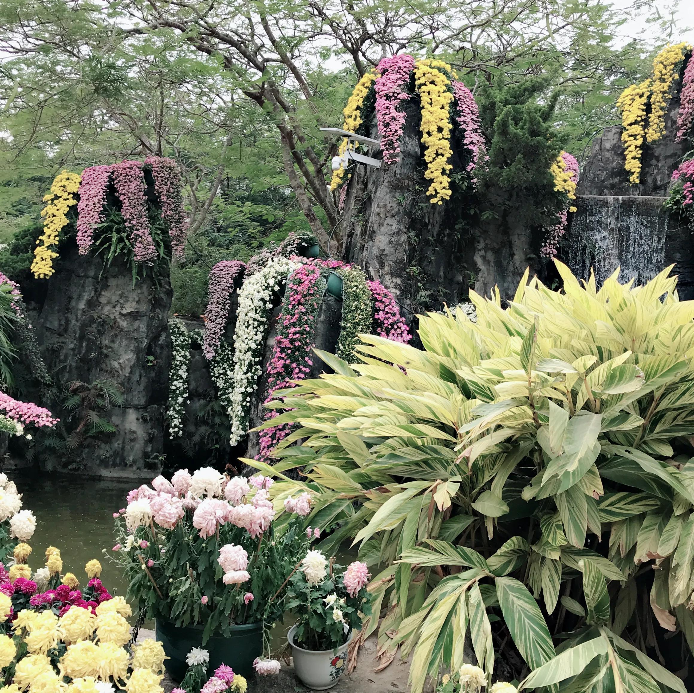 閬涘▋濂藉幓澶勮強鑺卞睍,娣卞湷閬涘▋鐪嬪睍