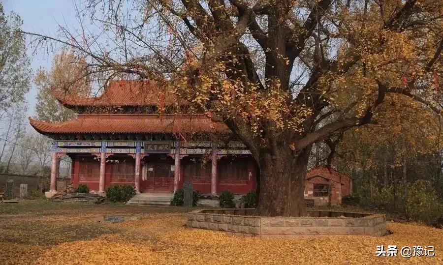 河南最值得打卡的古城吃喝榜，有你家乡没？|豫记