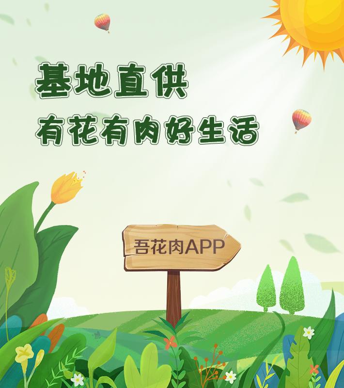 鲜花到了隔多久醒花最合适,刚收到的花蔫了怎么处理