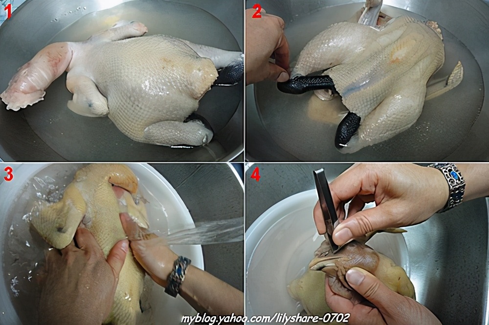 参鸡汤的做法和配方大全,秘制人参鸡汤怎么炖才能好喝